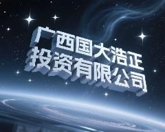 广西国大浩正投资有限公司LOGO